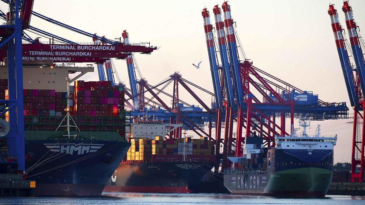 Container freighters are moored in the port of Waltershof in Hamburg