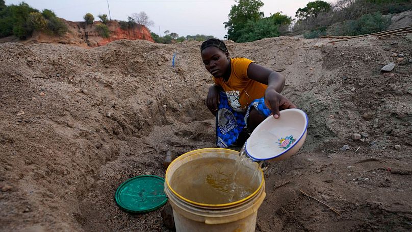   Une femme puise l'eau d'un trou qu'elle a creusé dans le lit d'une rivière asséchée à Lusitu, le 18 septembre, alors que la Zambie souffre d'une grave sécheresse. 