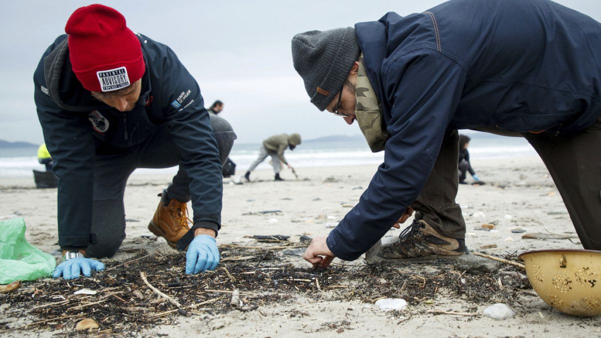 Volunteers collect plastic pellets from a beach in Nigran, Pontevedra, Spain, January, 2024.