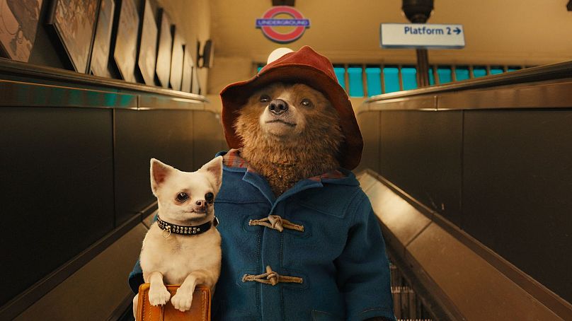 Marron Paddington