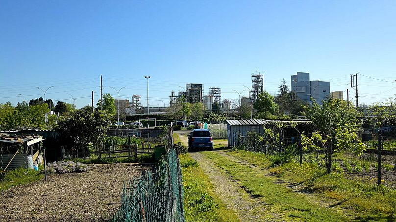 Les autorités locales ont déconseillé aux habitants de consommer les produits de ce potager de Pierre-Bénite.