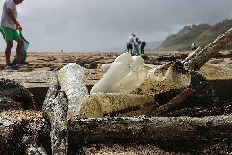 Les bouteilles d'eau en plastique qui ne sont pas recyclées peuvent finir dans nos océans, causant des dommages environnementaux incalculables.