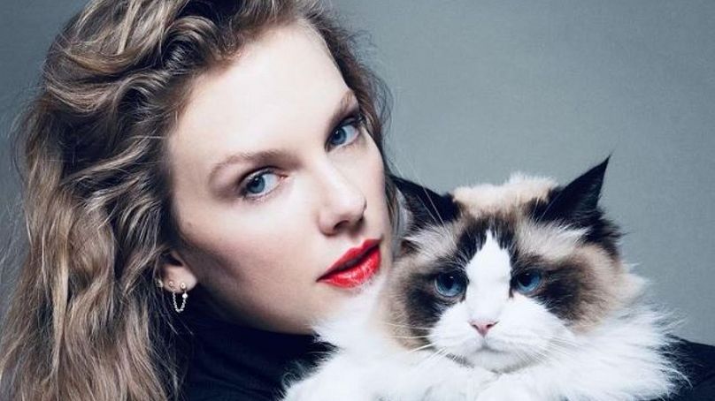 Taylor Swift - Childless Cat Lady