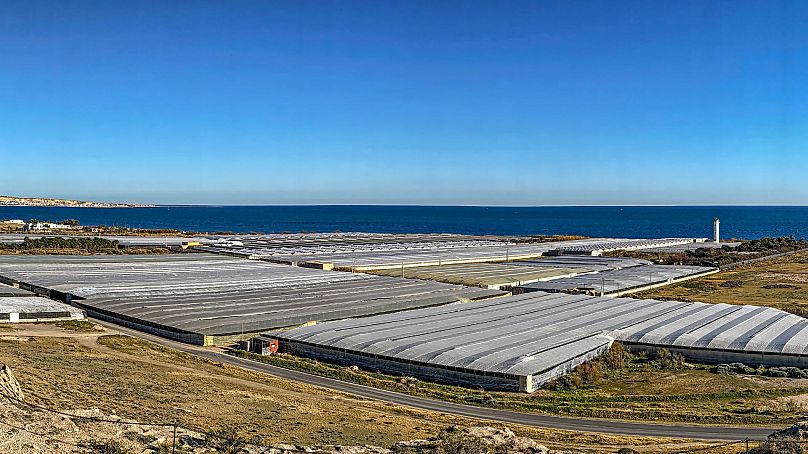 Serres agricoles à Almería, Espagne