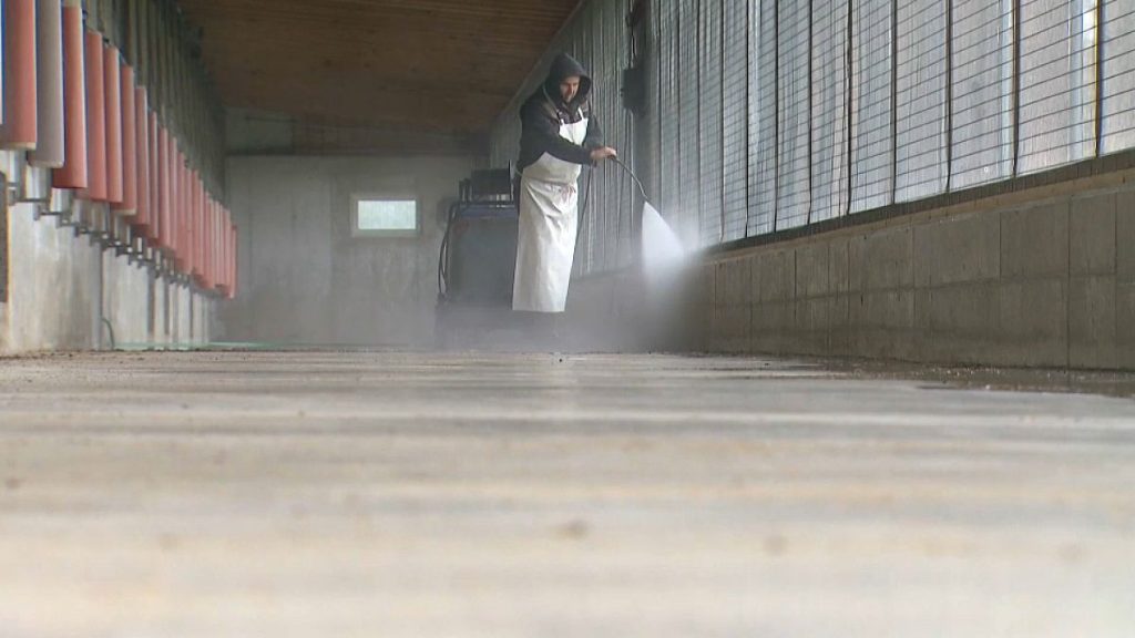 A farmer disinfects a farm where bird flu cases were detected in Amstetten, 7 November, 2024