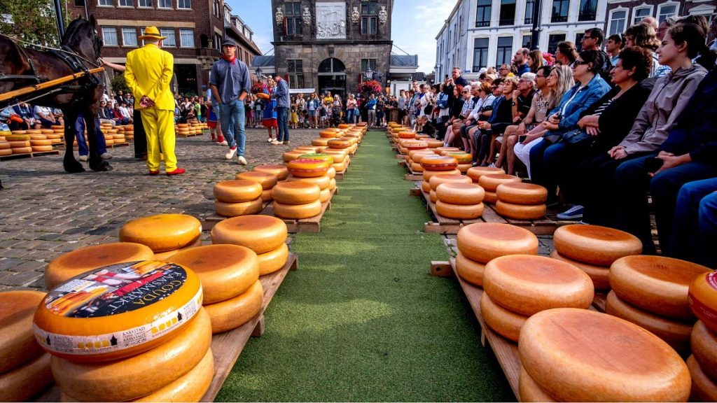 The 900-year-old Gouda cheese market in the Netherlands, which could be lost to climate change in the next century