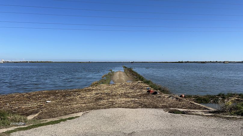 Les routes de l'Albufera restent inondées et inaccessibles