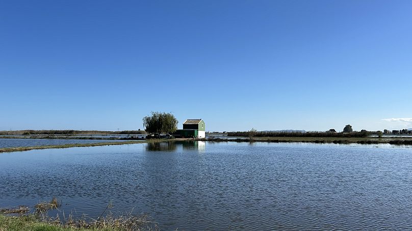 L'eau n'a pas encore baissé dans certaines parties de l'Albufera