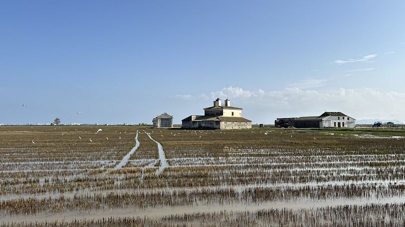 L'Albufera a été dévastée par les inondations