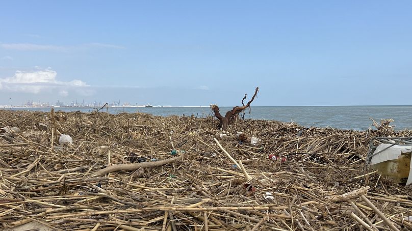 Les plages de l'Albufera restent couvertes de débris