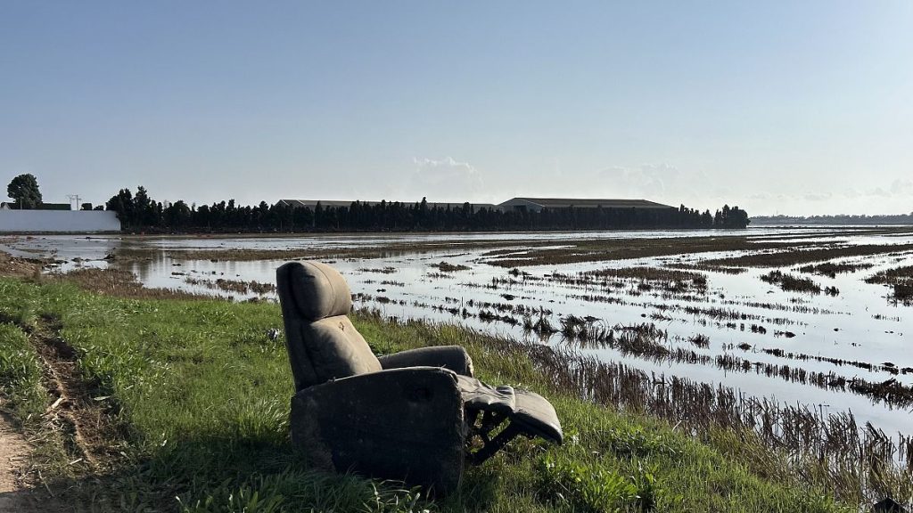 Debris remains in Albufera national park after the tragic floods