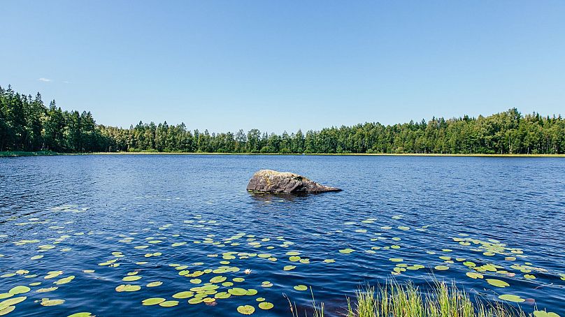 Un lac suédois scintille sous le soleil d’été