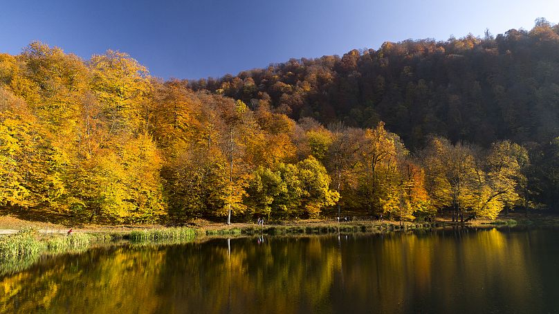 Parc du lac, Dilidjan