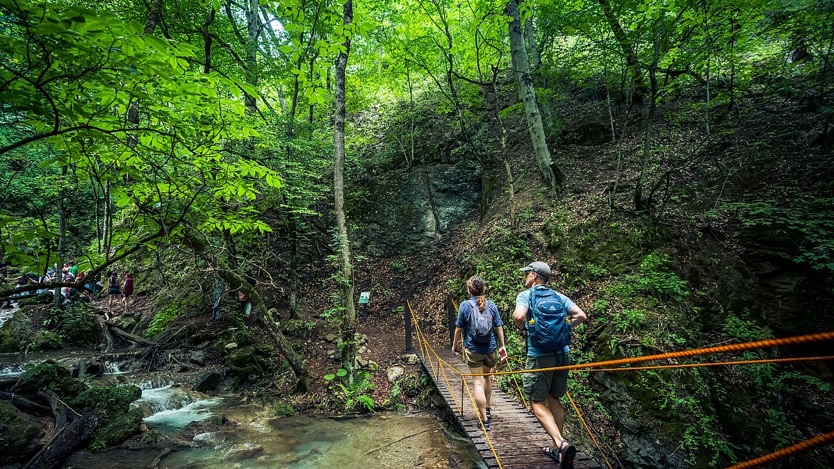 Hiking