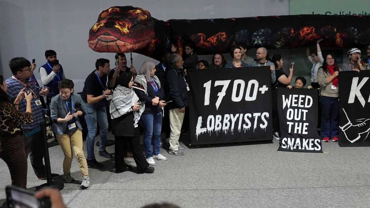 Activists participate in a demonstration against fossil fuels at COP29.