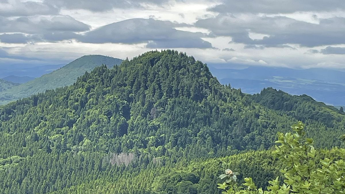 Le sang des volcans : comment le vin et la bière transfusent l'Auvergne