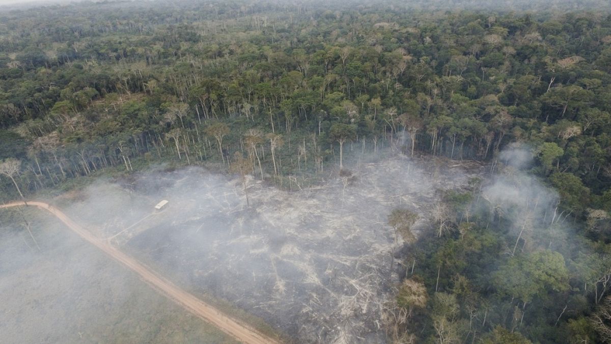 Recently cleared land on the Chico Mendes Extractive Reserve, in Xapuri, Acre state, Brazil, September 2023