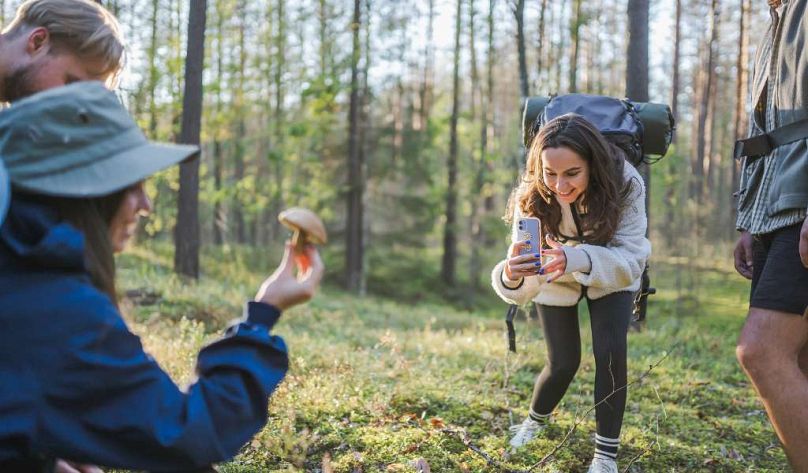 Une tradition très appréciée est la cueillette des champignons, surtout en automne