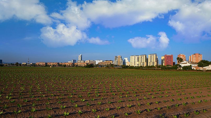 Champs agricoles et horizon de Valence, Espagne