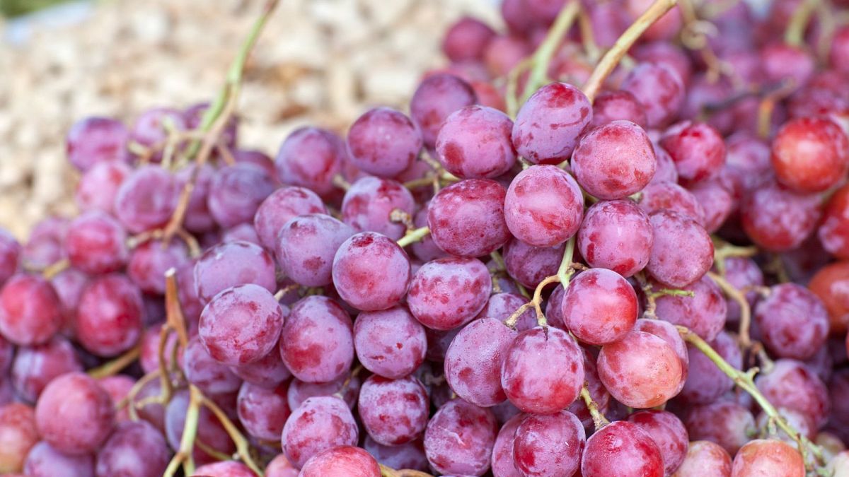 Red grapes are displayed.