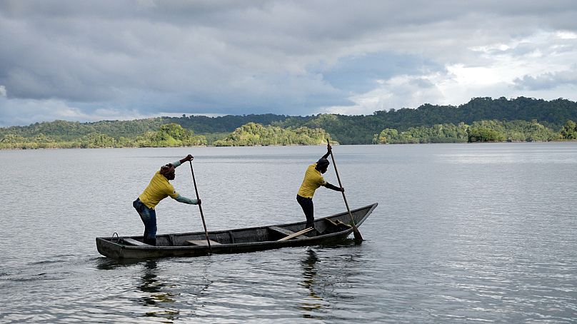 Les « piangueras » sont un symbole de cette région côtière colombienne du Pacifique