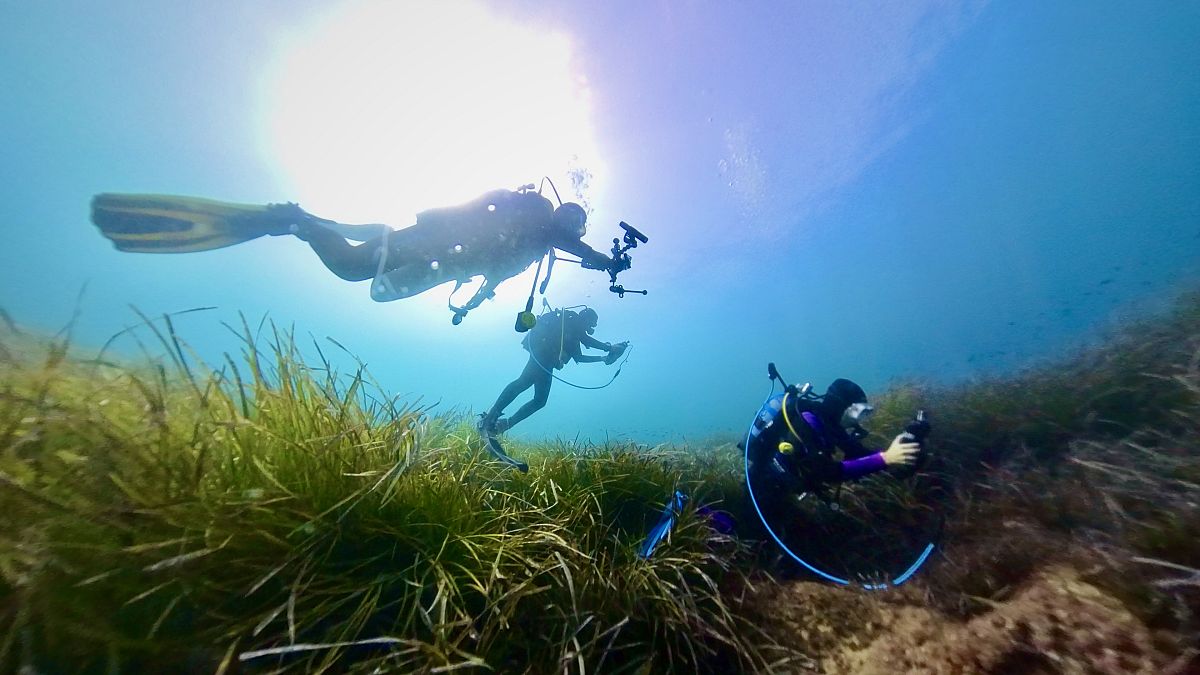 Marine biologists using smart tablets for data collection underwater