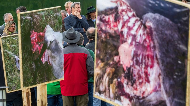 Le centre du gouverneur de Bavière, Markus Soeder, assiste à une réunion d'agriculteurs à Oberaudorf, en Allemagne, le mercredi 26 avril 2023.