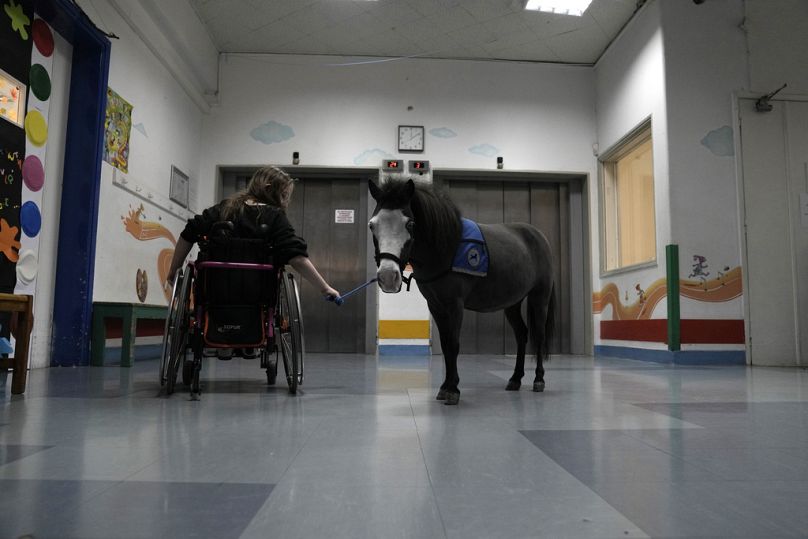 Josifina Topa Mazuch, neuf ans, étudiante dans une école pour enfants handicapés, tient les rênes d'Ivi, un cheval miniature utilisé pour les programmes thérapeutiques, à Athènes, en Grèce, le jeudi