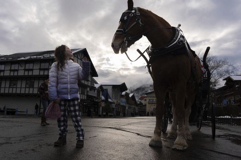 Anna Jarski, 8 ans, de Seattle, salue Olav, le cheval de trait belge