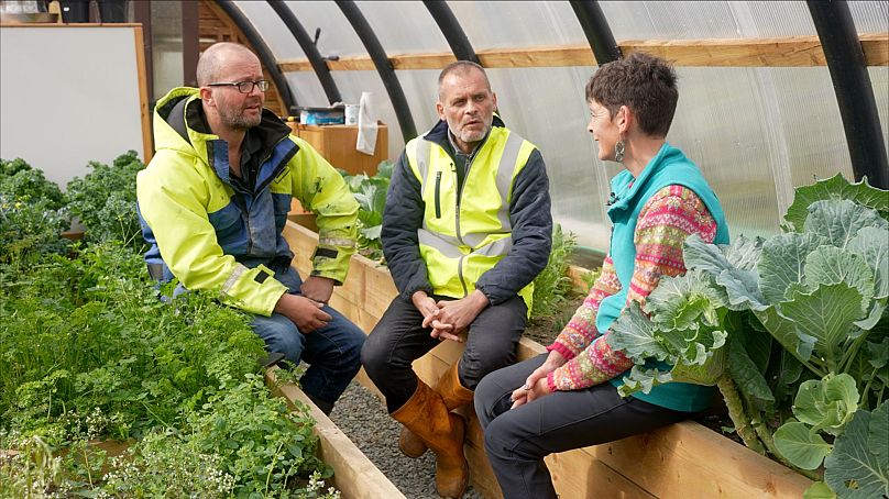 À l'intérieur d'un « polycrub » de la société de développement communautaire Northmavine des Shetland