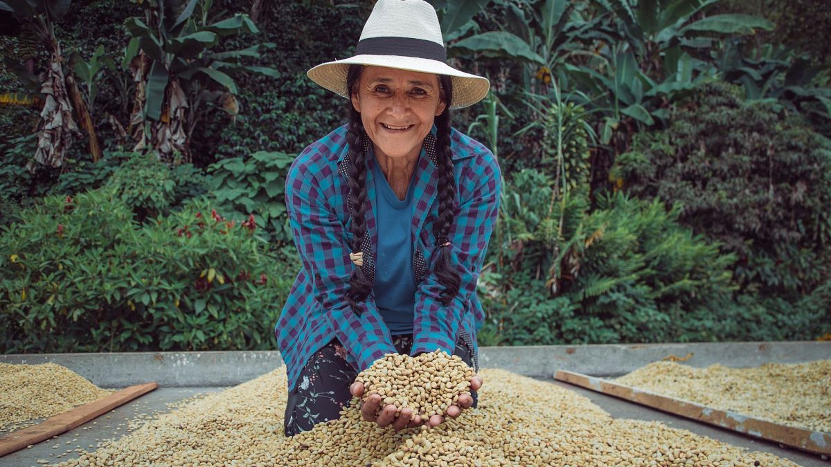 A female Colombian coffee farmer showing coffee beans