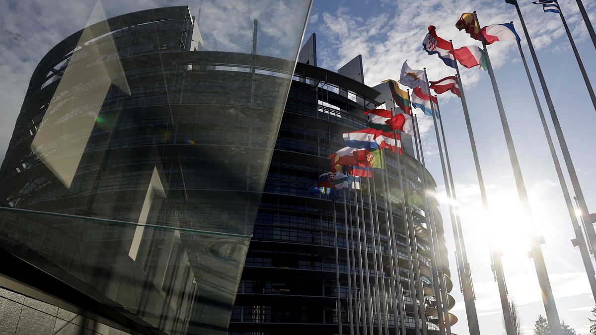 Flags of European Union member countries flap in the wind outside the European Parliament in Strasbourg, France