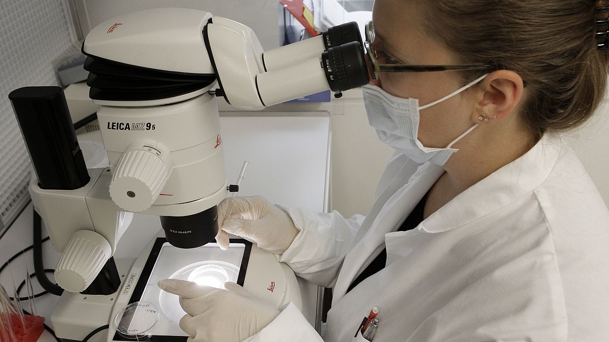 A research associate expands human embryonic stem cells under a microscope at the University of Michigan Center for Human Embryonic Stem Cell Research Laboratory, 2008.