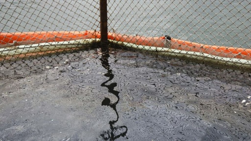 A part of the Black Sea near a delphinium at a coast following an oil spill that happened while being pumped into the Minerva Symphony tanker, near Novorossiysk, Russia