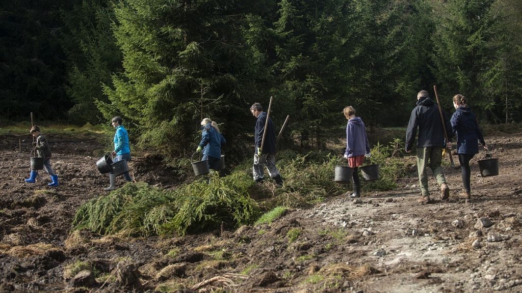 Volunteers walking on the field during the the revitalization of Malý Bor mires, Czechia. The LIFE Programme provides the only directly EU funds such action on the ground.