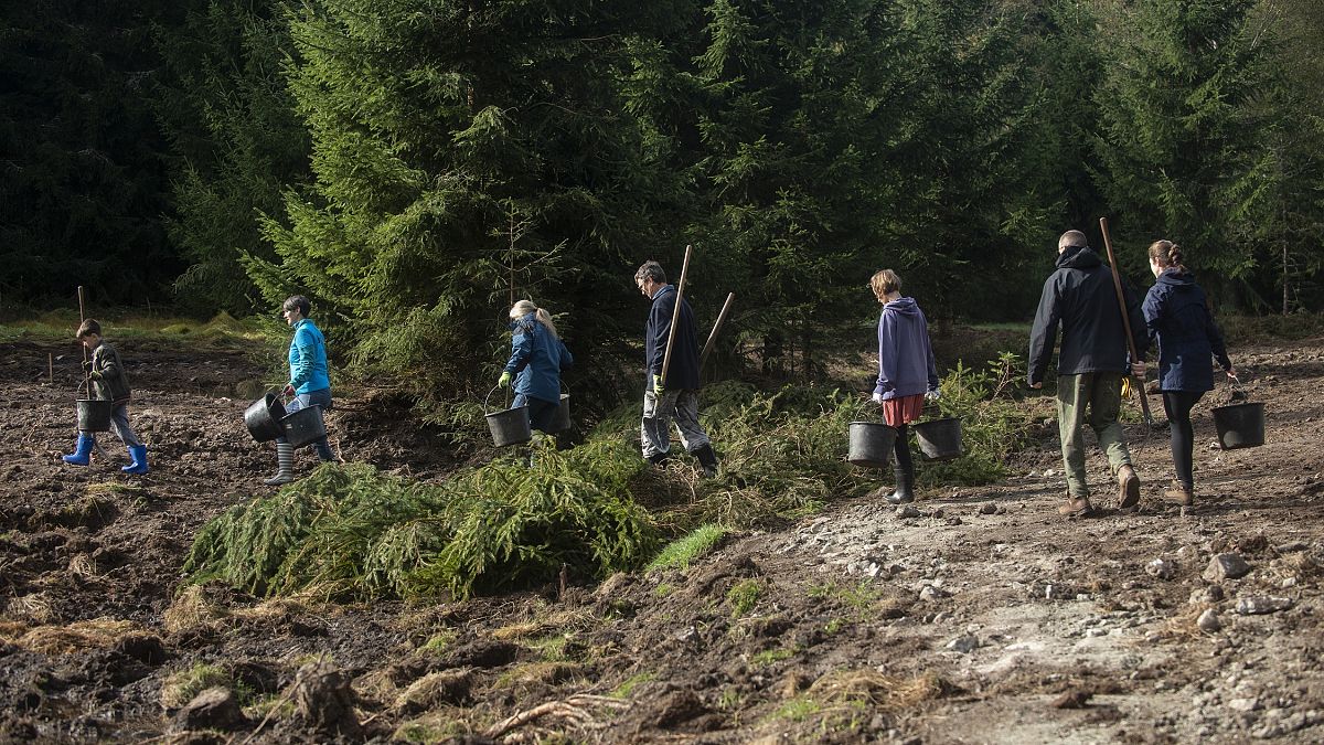 Volunteers walking on the field during the the revitalization of Malý Bor mires, Czechia. The LIFE Programme provides the only directly EU funds such action on the ground.