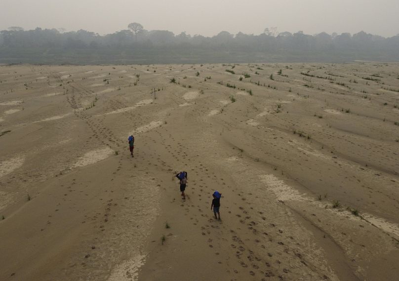 Des habitants transportent de l'eau potable de Humaita à la communauté de Paraizinho, le long de la rivière asséchée de Madère, un affluent du fleuve Amazone, en pleine sécheresse, dans l'État d'Amazonas.