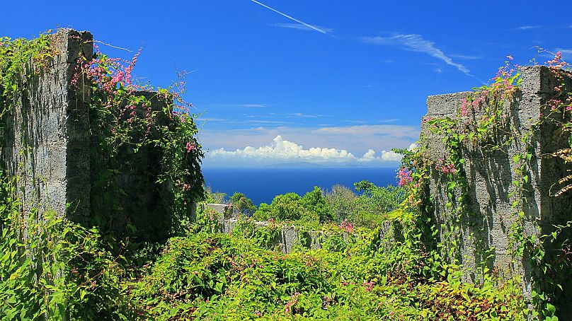 Découvrez une ruine envahie par la végétation sur l'île de Saba