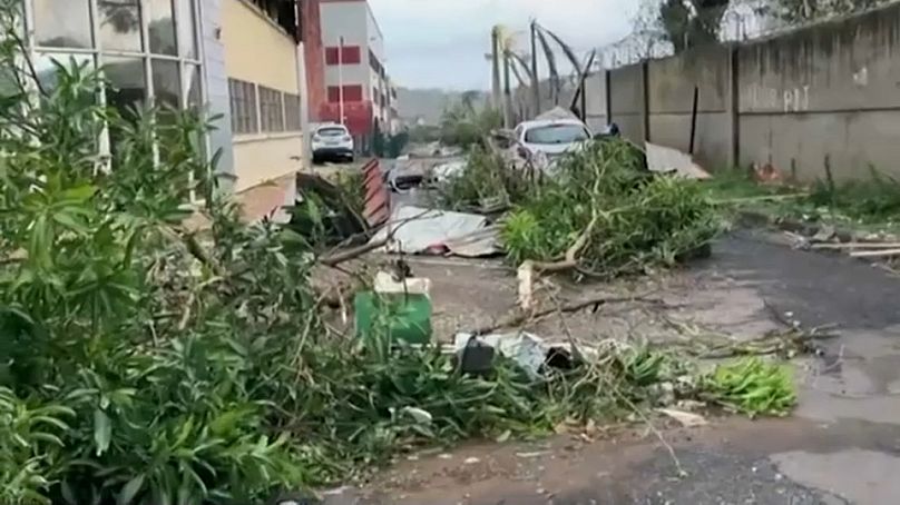 Arbres abattus dans les rues de Mamoudzou, département français d'outre-mer Mayotte, 14 décembre 2024