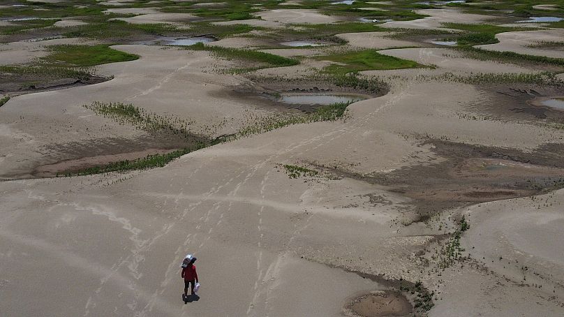 Un résident d'une communauté riveraine transporte de la nourriture et des conteneurs d'eau potable après avoir été distribués en raison de la sécheresse à Careiro da Varzea, dans l'État d'Amazonas, au Brésil.