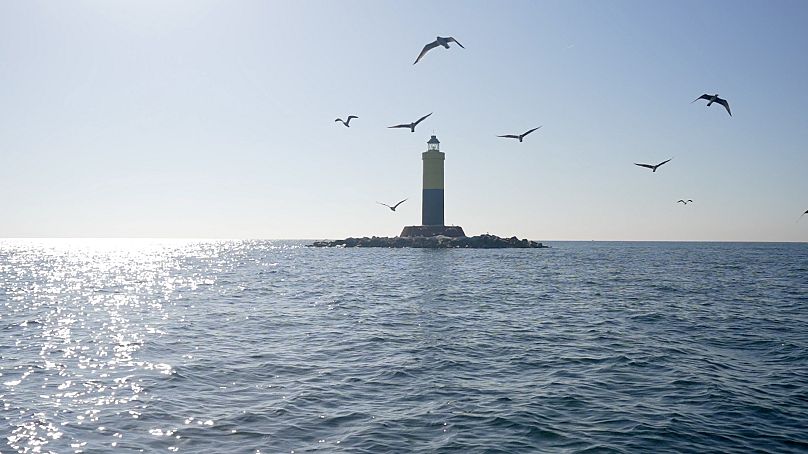 La zone marine protégée Secche della Meloria au large de Livourne, Italie