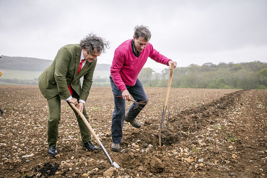 Fouilles cérémonielles avec LR Pierre-Emmanuel Taittinger et Patrick McGrath MW 