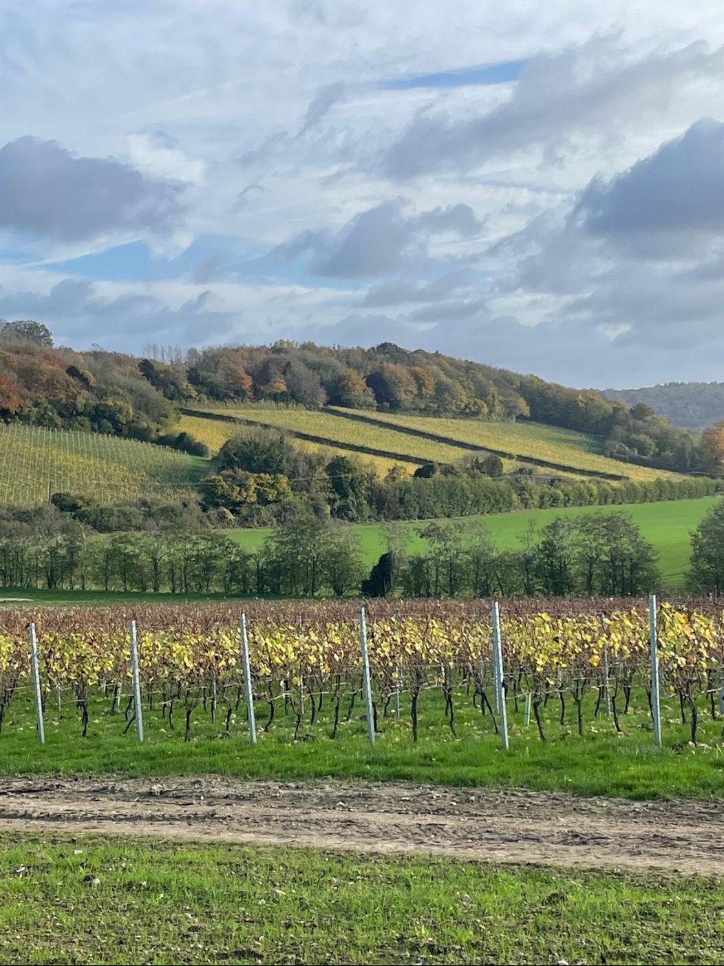 Vue sur une partie du Domaine Evremond dans le Kent