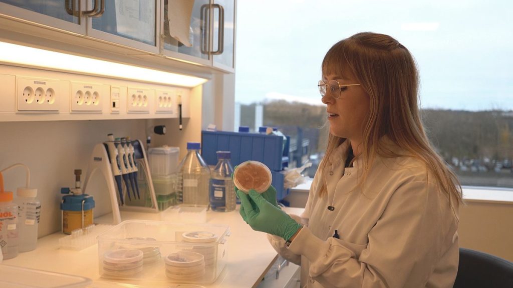 Loes van Dam showing samples of mycelia