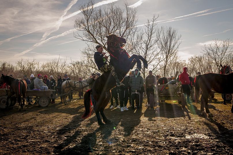 Un homme montre ses talents de cavalier après une course traditionnelle lors des célébrations de l'Épiphanie dans le village de Pietrosani, en Roumanie, le lundi 6 janvier 2025.