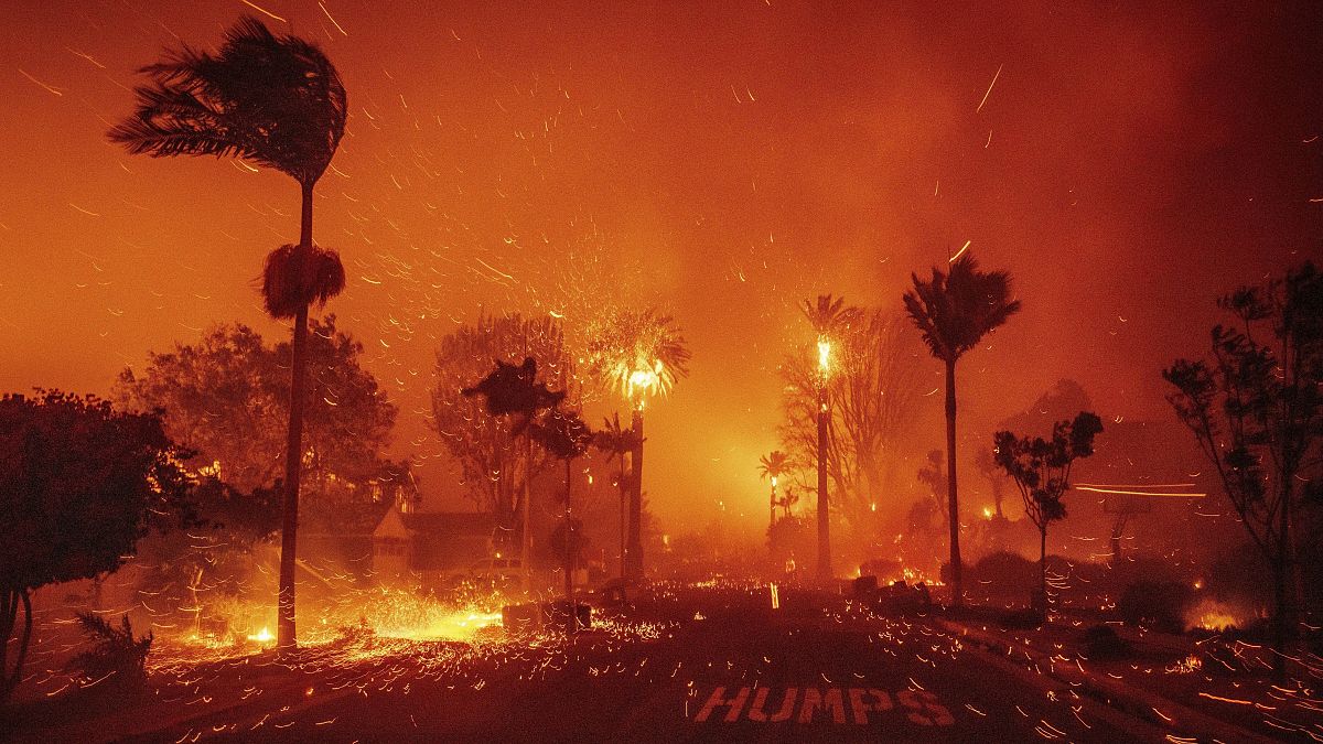 A wildfire ravages a neighbourhood amid high winds in the Pacific Palisades neighbourhood of Los Angeles, 7 January, 2025