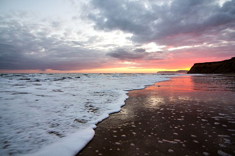 Après une promenade sur ses sables, dirigez-vous vers Brook Beach, dans le prolongement de Compton Bay, pour observer l'empreinte fossilisée de dinosaures.