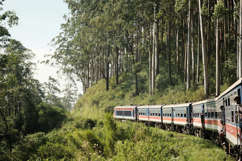 Dans le train de Kandy à Ella au Sri Lanka.