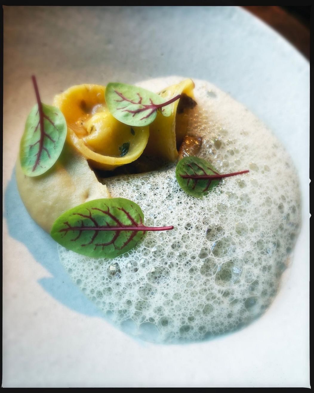 Pasta, celery and chanterelles