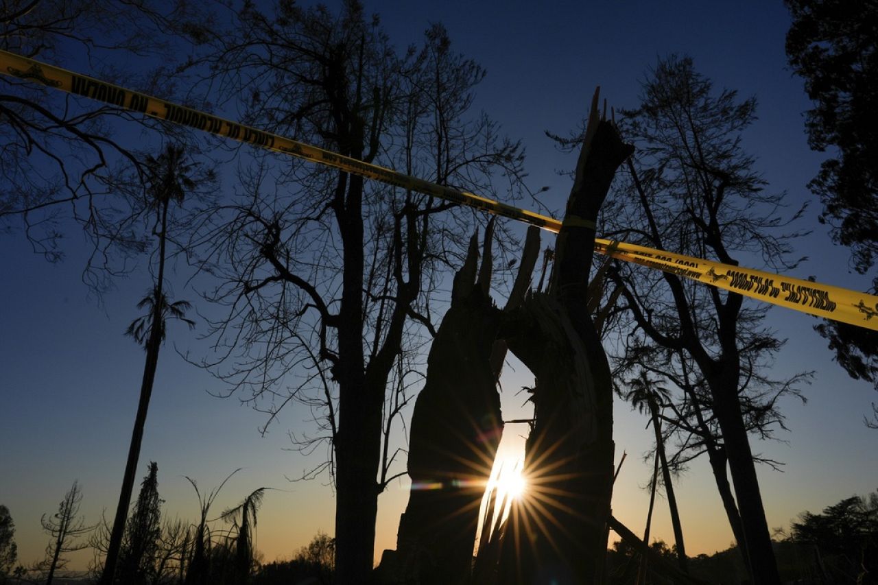 Un ruban d'avertissement entoure les maisons en rangée et les arbres brûlés par l'incendie d'Eaton le 13 janvier 2025 à Altadena, en Californie. 